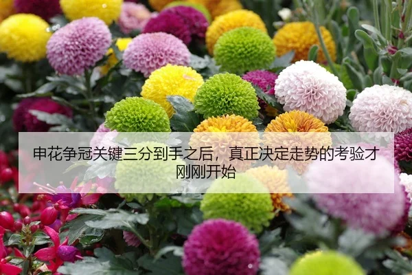 申花争冠关键三分到手之后，真正决定走势的考验才刚刚开始 - kaiyun